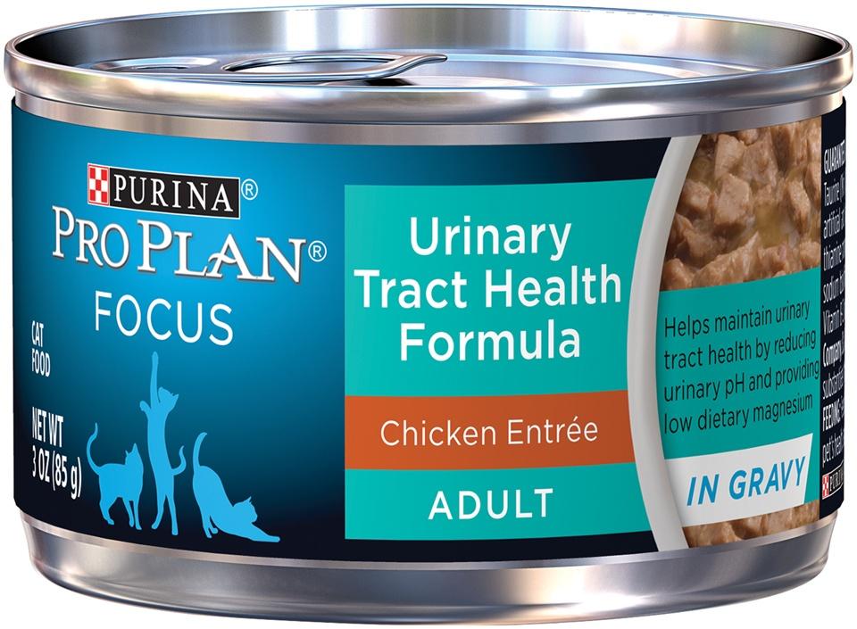 Wet cat food shop for urinary health