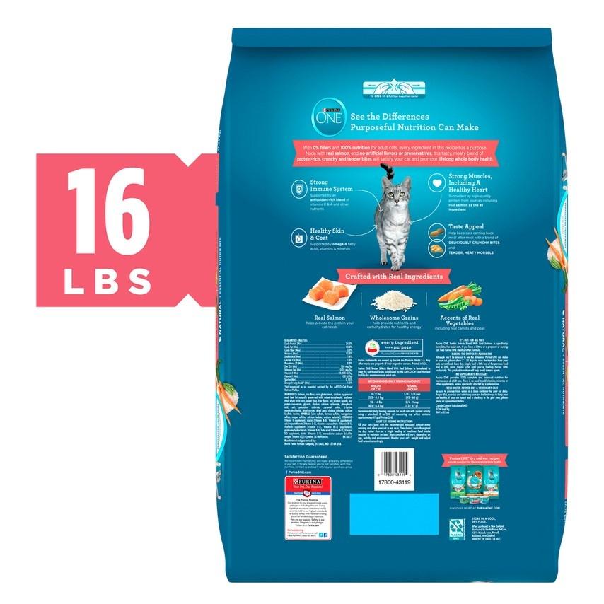 Purina ONE Tender Selects Blend Real Salmon Dry Cat Food Oley