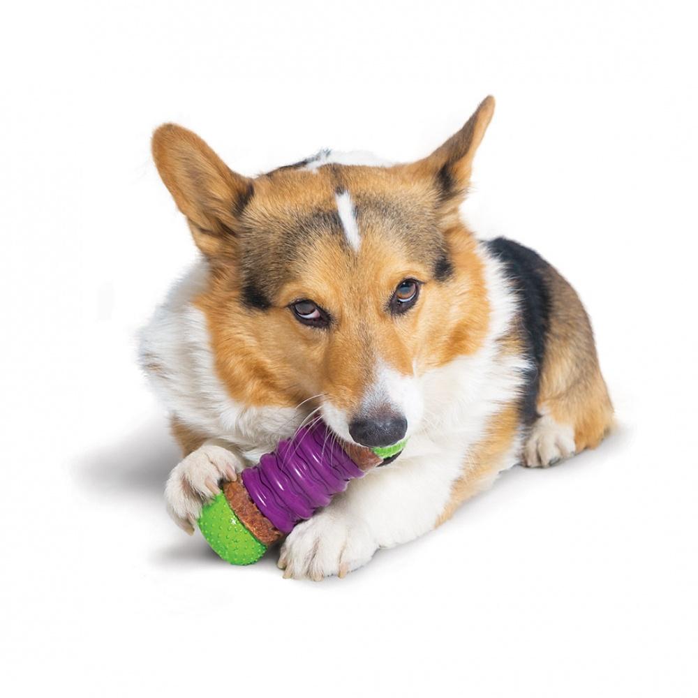 PetSafe Busy Buddy Rawhide Treat Ring Refills for Dog Toys, Small