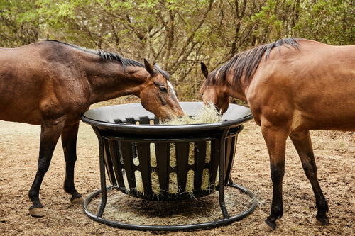 Tarter Equine Hay Basket (Grey, H 34