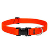 Lupine Pet Basic Solids Dog Collar