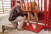 Tarter CattleMaster Series 3 Chute
