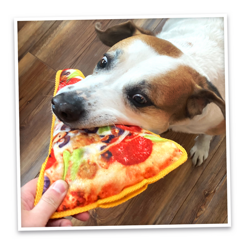 Doggijuana Tuffer Chewer Refillable Supreme Pizza Dog Toy
