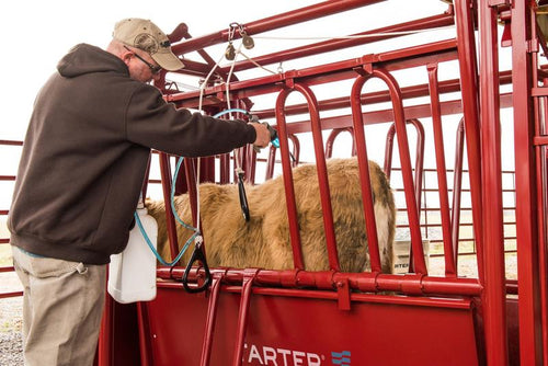 Tarter CattleMaster Series 3 Chute