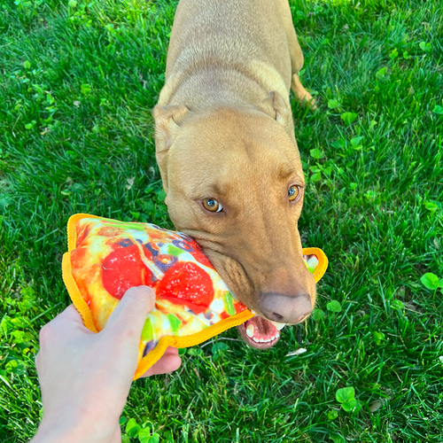 Doggijuana Tuffer Chewer Refillable Supreme Pizza Dog Toy