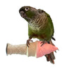 Polly's Pet Products Ice Cream Perches