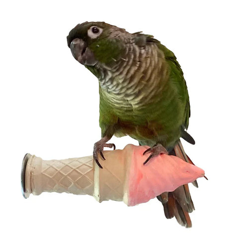 Polly's Pet Products Ice Cream Perches