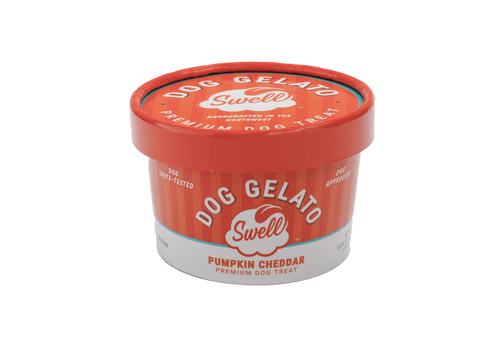 Swell Pumpkin Cheddar Frozen Gelato Dog Treat