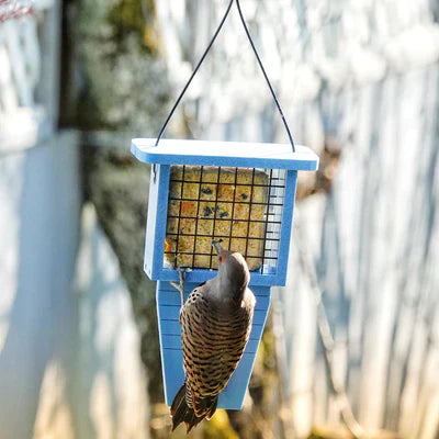 Nature's Way Suet Station Recycled Plastic Tail-prop Bird Feeder