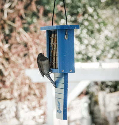 Nature's Way Suet Station Recycled Plastic Tail-prop Bird Feeder