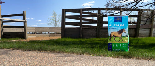 Triple Crown Alfalfa Forage Cubes Naturals