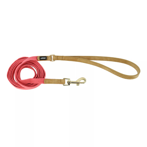 Coastal Li'l Pals Woven Leash