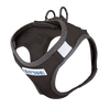 Bay Dog Liberty Harness Black (Large)