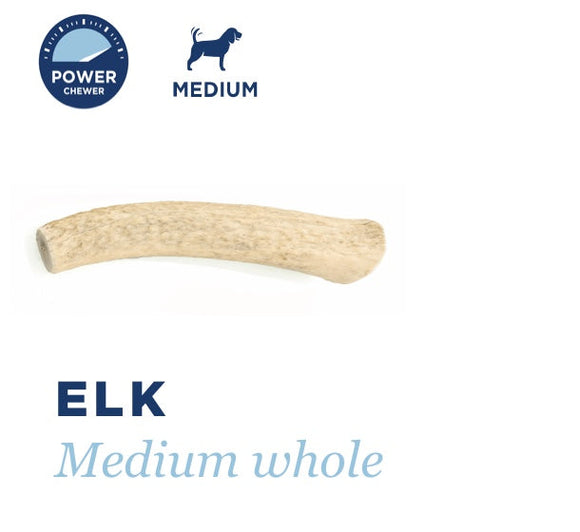 Barkworthies Elk Antler Medium Whole