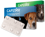 PetIQ CAPSTAR® (nitenpyram) Fast-Acting Oral Flea Treatment for Dogs