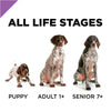 Purina Pro Plan Sport All Life Stages Performance 26/16 Formula Dry Dog Food