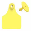 Allflex Global Large Blank Calf Ear Tags 25 Count Yellow