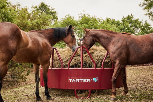 Tarter Equine Pro Hay Feeder with Hay Saver Red