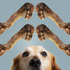 ROAM® Bucky Funny Bone™ Dog Treat