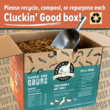 Scratch and Peck Feeds Cluckin’ Good Grubs
