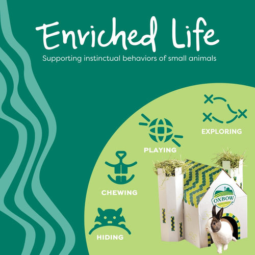 Oxbow Animal Health Enriched Life - Burrow Box (1  Count)