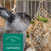 Oxbow Animal Health Enriched Life - Burrow Box (1  Count)