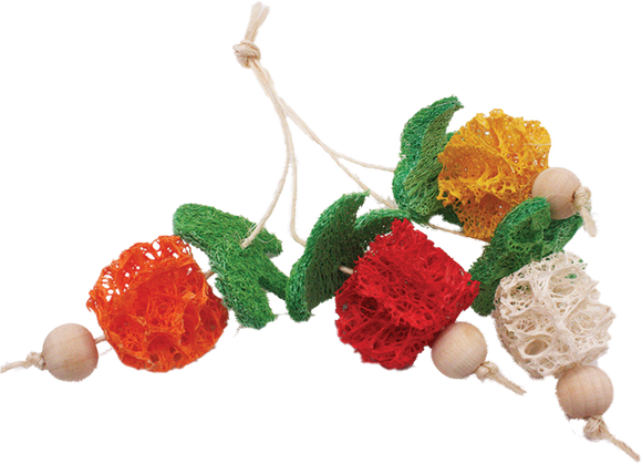 A & E Cages Loofah Bunch of Fruits Small Animal Toy