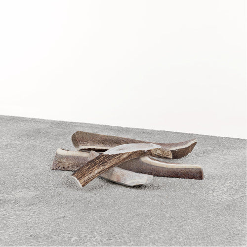 Primal Stag Antler Dog Chew (Large)