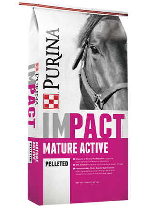 Purina® Impact® Mature Active Pelleted Horse Feed 10:6 Pelleted