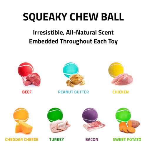 Playology Squeaky Chew Ball Chicken Scent