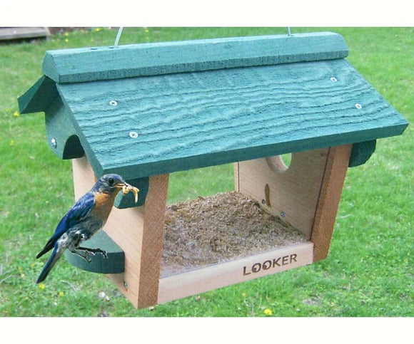 Songbird Essentials Bluebird Feeder