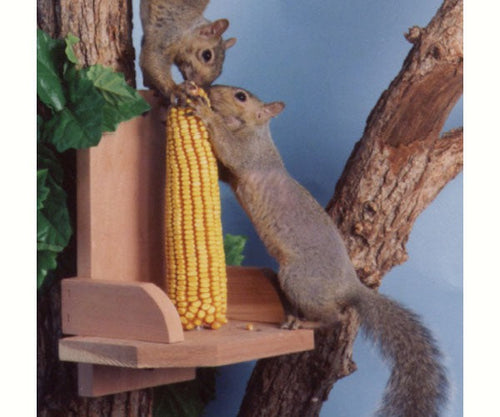 Songbird Essentials Squirrel Platform feeder