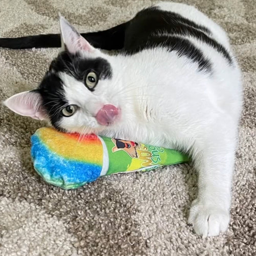 Meowijuana Get Chilled Refillable Snow Cone Cat Toy