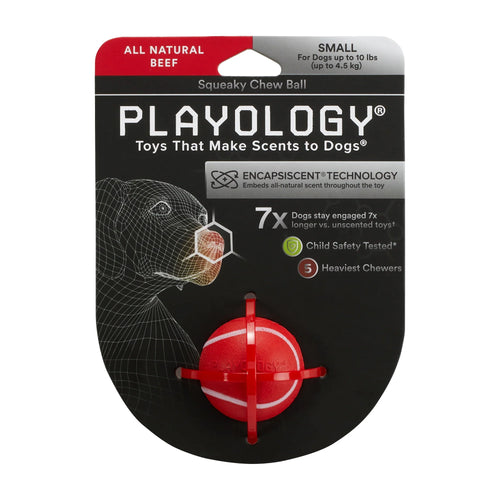 Playology Squeaky Chew Ball Chicken Scent