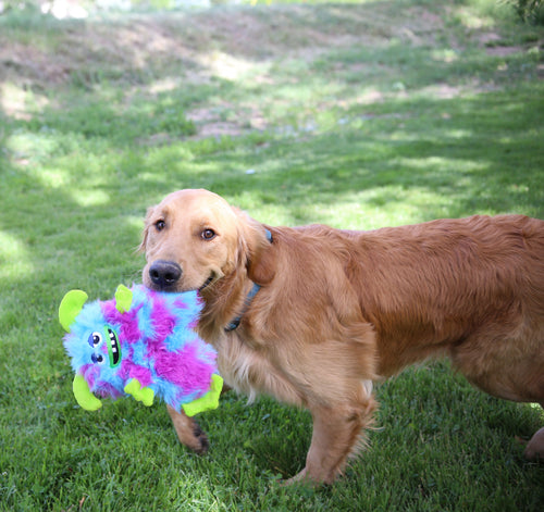 Kong Frizzles Razzle Dog Toy