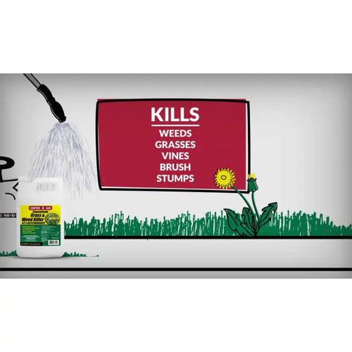 Ragan & Massey Compare-N-Save Concentrate Grass and Weed Killer 41% Glyphosate (32 Oz)