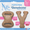 Benebone Puppy Dental Dog Chew Toy Pack