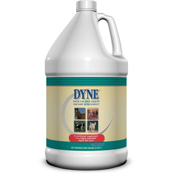 DYNE 128OZ