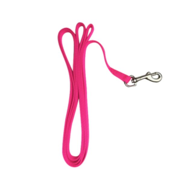 CHICKEN LEASH 6FT HPNK