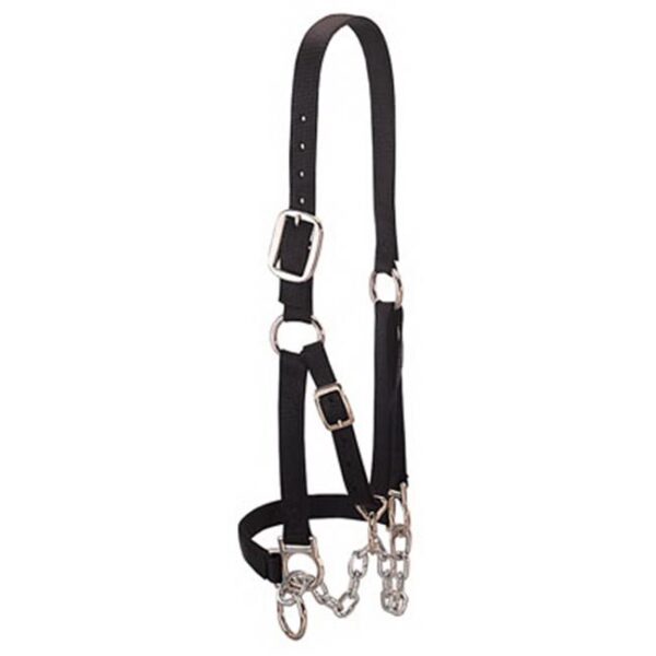 NYLON HEIFER HALTER W CHAIN