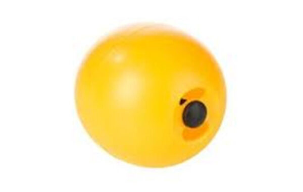 CHICKEN TOY YELLOW BALL